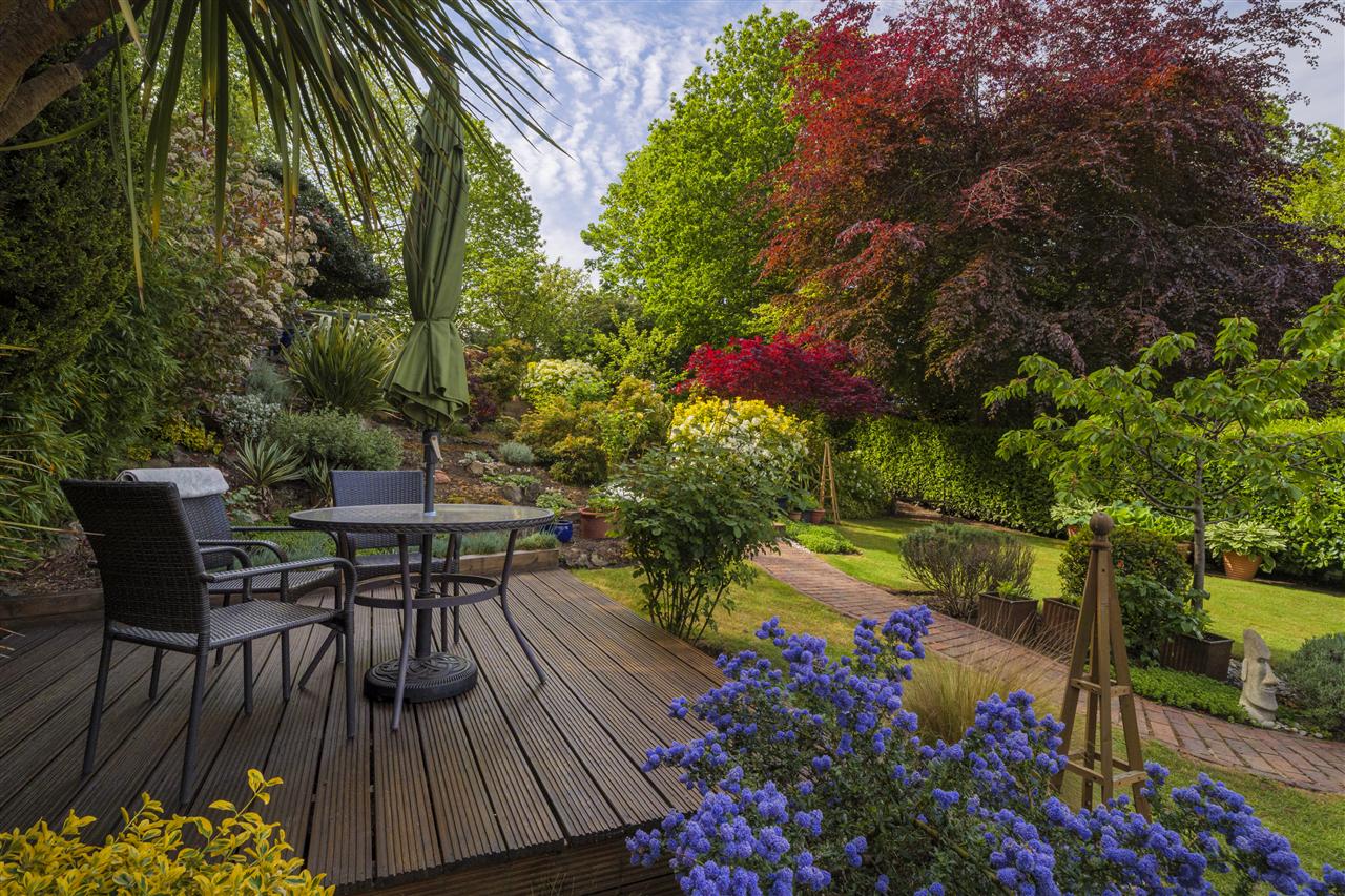 Property Image 27